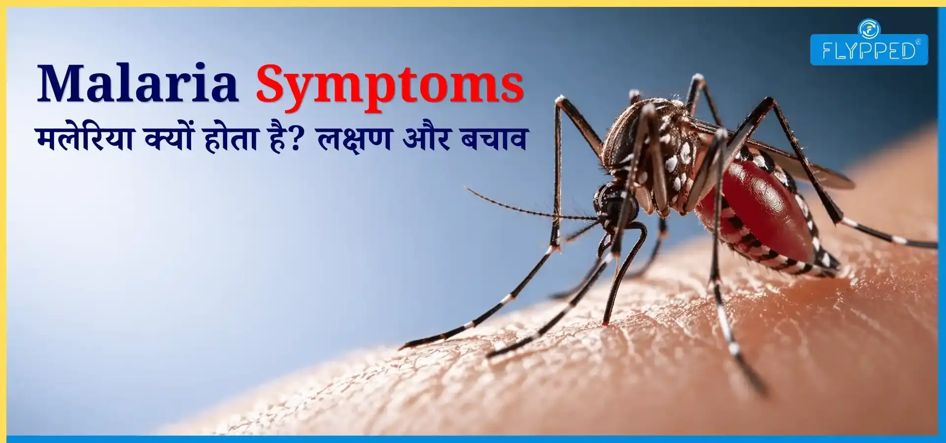 Malaria Symptoms In Hindi: मलेरिया क्यों होता है? लक्षण और बचाव