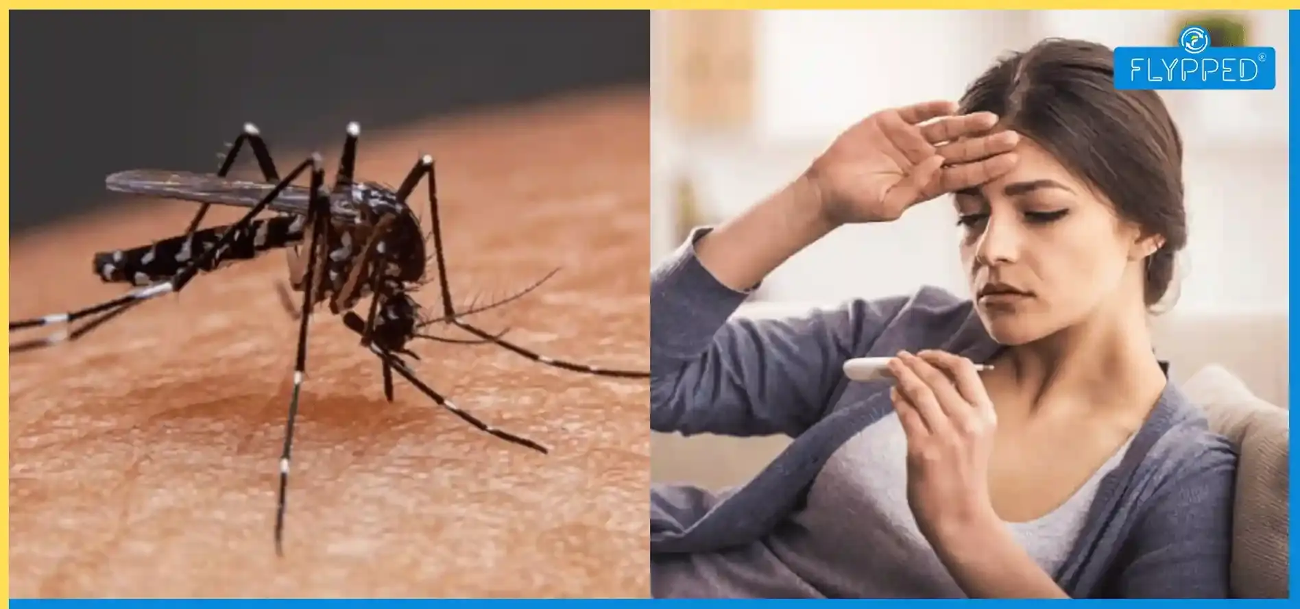 Dengue In Hindi: डेंगू के लक्षण, घरेलू उपाय और रिकवरी की पूरी जानकारी