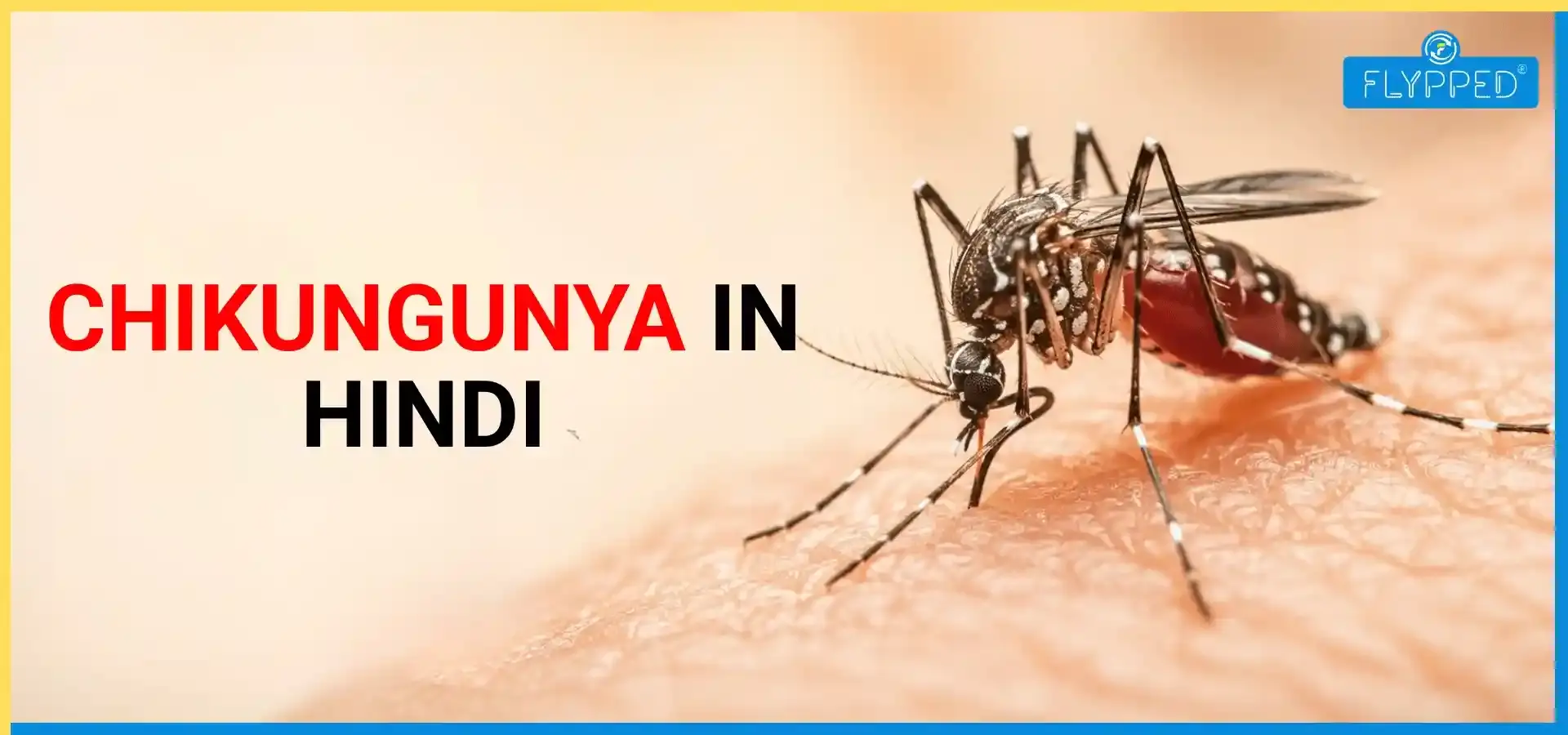  Chikungunya in Hindi: चिकनगुनिया से कैसे बचें? जानें आसान टिप्स