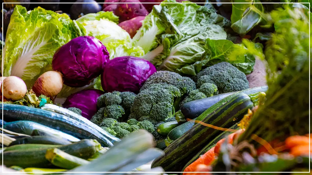 गर्मियों में करें इन Healthy Vegetables का सेवन तथा रहें विभिन्न बीमारियों से दूर