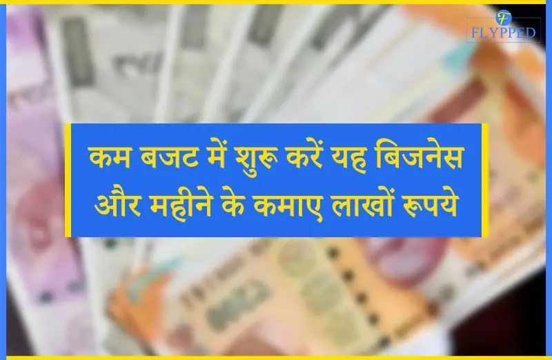 कम बजट में शुरू करें यह बिजनेस और महीने के कमाए लाखों रूपये