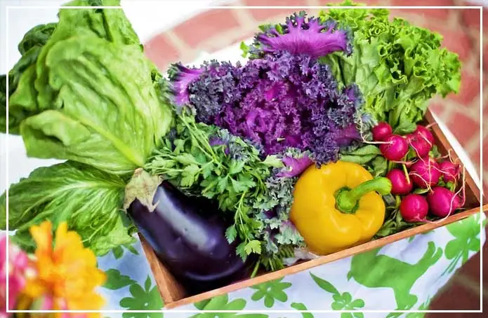 यदि आप कर रहे है इन सब्जियों का सेवन तो हो जाएँ सावधान