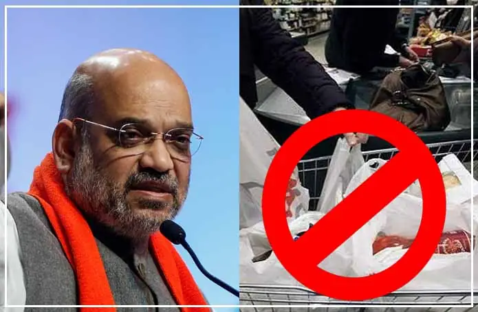 पर्यावरण को बचाने के लिए अमित शाह ने की महिलाओं से प्लास्टिक बैग इस्तेमाल ना करने की अपील